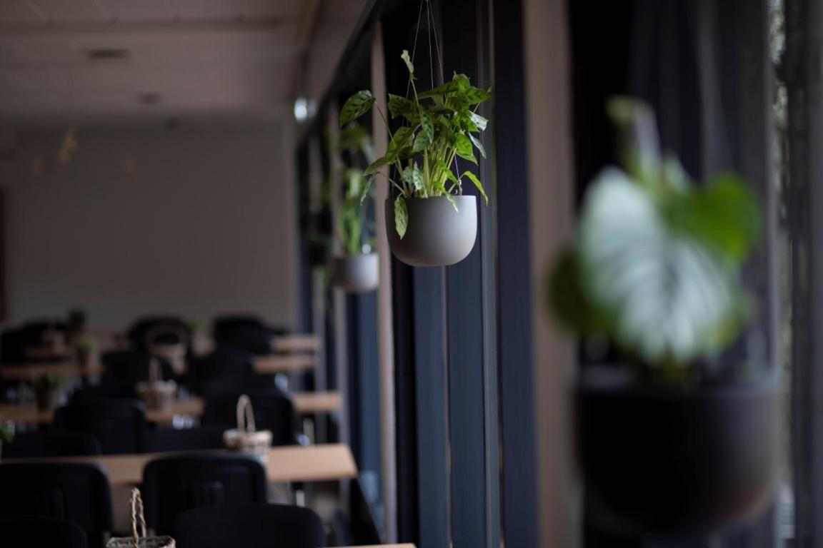 Danhostel Sonderborg City Екстер'єр фото