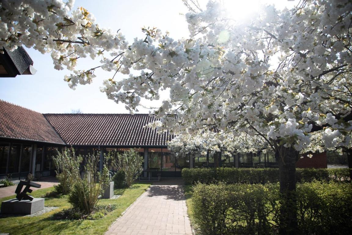 Danhostel Sonderborg City Екстер'єр фото